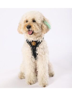 Pawstar - Pawstar Siyah Air-mesh Göğüs Tasması Kedi Köpek Göğüs Tasması XL