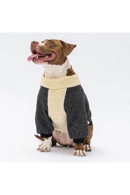 Pawstar - Pawstar Siyah Alaska Büyük Irk Köpek Sweat Köpek Kıyafeti 4XL