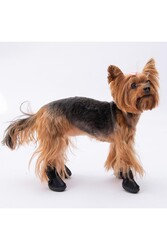 Pawstar Siyah Köpek Ayakkabısı-Köpek Patiği - Thumbnail