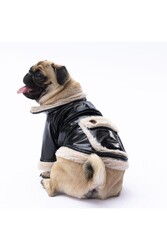 Pawstar Siyah Vegas Ceket Kedi Köpek Ceketi Kedi Köpek Kıyafeti Kedi Köpek Elbisesi 2XL - Thumbnail