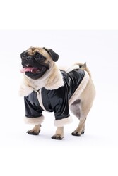 Pawstar Siyah Vegas Ceket Kedi Köpek Ceketi Kedi Köpek Kıyafeti Kedi Köpek Elbisesi XL - Thumbnail