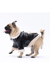 Pawstar Siyah Vegas Ceket Kedi Köpek Ceketi Kedi Köpek Kıyafeti Kedi Köpek Elbisesi XL - Thumbnail