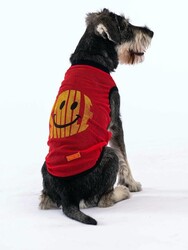 Pawstar Smile Kedi Köpek Tişörtü - Kedi Köpek Kıyafeti 2XLarge - Thumbnail