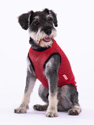 Pawstar Smile Kedi Köpek Tişörtü - Kedi Köpek Kıyafeti Large - Thumbnail