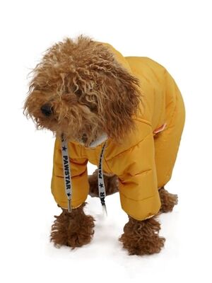 Pawstar - Pawstar Sport Küçük Irk Köpek Yağmurluk Tulumu Sarı M