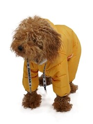 Pawstar Sport Küçük Irk Köpek Yağmurluk Tulumu Sarı XL - Thumbnail