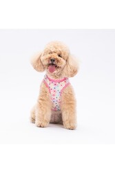 Pawstar Spring Flowers Kedi Köpek Tişörtü - Kedi Köpek Kıyafeti M - Thumbnail