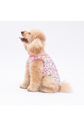 Pawstar Spring Flowers Kedi Köpek Tişörtü - Kedi Köpek Kıyafeti M - Thumbnail