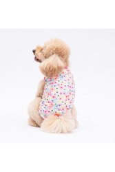 Pawstar Spring Flowers Kedi Köpek Tişörtü - Kedi Köpek Kıyafeti XL - Thumbnail