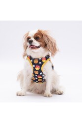 Pawstar Star Hamburger Kedi Köpek Tişörtü - Kedi Köpek Kıyafeti L - Thumbnail