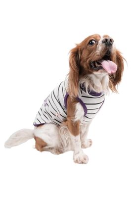 Pawstar - Pawstar Striped Slogan Kedi Köpek Tişörtü Kedi Köpek Kıyafeti