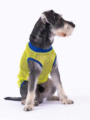 Pawstar - Pawstar Süper Hero Kedi Köpek Tişörtü - Kedi Köpek Kıyafeti Medium