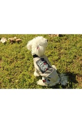 Pawstar Taş Shine Tulum Kedi Köpek Tulumu Kedi Köpek Kıyafeti - L - Thumbnail