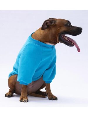 Pawstar - Pawstar Turkuaz Carmel Büyük Irk Köpek Sweat-Köpek Kıyafeti 4XL
