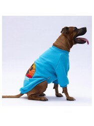 Pawstar Turkuaz Carmel Büyük Irk Köpek Sweat-Köpek Kıyafeti 4XL - Thumbnail