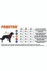 Pawstar Turkuaz Tuta Orta Ve Büyük Irk Köpek Tulumu Köpek Kıyafeti 3XL - Thumbnail