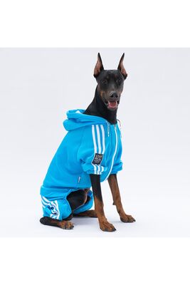 Pawstar - Pawstar Turkuaz Tuta Orta Ve Büyük Irk Köpek Tulumu Köpek Kıyafeti 4XL