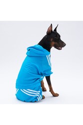 Pawstar Turkuaz Tuta Orta Ve Büyük Irk Köpek Tulumu Köpek Kıyafeti 4XL - Thumbnail