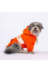 Pawstar Turuncu Cute Köpek Hoodie Köpek Sweat Köpek Kıyafeti Kedi Kıyafeti 2XL - Thumbnail