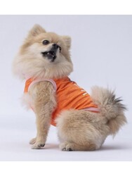 Pawstar Turuncu Joy Kedi Köpek Tişörtü - Kedi Köpek Kıyafeti 2XL - Thumbnail