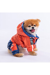 Pawstar Turuncu-lacivert Bicolor Köpek Tulum Yağmurluğu Köpek Yağmurluk Köpek Kıyafeti Köpek Elbisesi L - Thumbnail