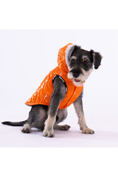 Pawstar Turuncu Light Wave Anorak Yelek Köpek Yeleği Köpek Kıyafeti Köpek Yağmurluk l - Thumbnail