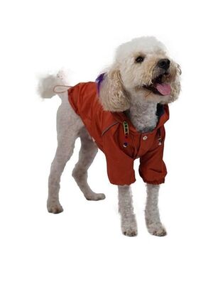 Pawstar - Pawstar Turuncu Pluvia Kedi Köpek Mont Kedi Köpek Kıyafeti XL