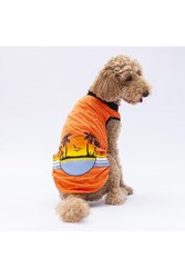 Pawstar Turuncu Sunrise Büyük Köpek Tişörtü - Köpek Kıyafeti (15 KG-45 KG) 4XL - Thumbnail