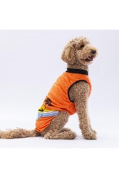 Pawstar Turuncu Sunrise Büyük Köpek Tişörtü - Köpek Kıyafeti (15 KG-45 KG) 4XL - Thumbnail