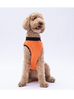 Pawstar - Pawstar Turuncu Sunrise Büyük Köpek Tişörtü - Köpek Kıyafeti (15 KG-45 KG) 4XL