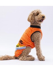 Pawstar Turuncu Sunrise Büyük Köpek Tişörtü - Köpek Kıyafeti (15 KG-45 KG) 6XL - Thumbnail
