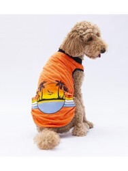 Pawstar Turuncu Sunrise Büyük Köpek Tişörtü - Köpek Kıyafeti (15 KG-45 KG) 6XL - Thumbnail