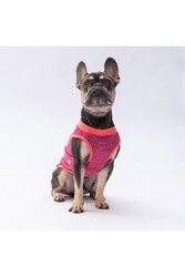 Pawstar Vişnerengi The Sun Kedi Köpek Tişörtü - Kedi Köpek Kıyafeti L - Thumbnail