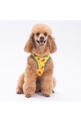 Pawstar WaterMelon Kedi Köpek Tişörtü - Kedi Köpek Kıyafeti 2XL - Thumbnail