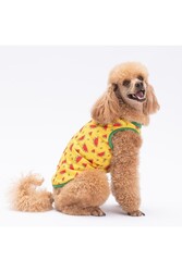 Pawstar WaterMelon Kedi Köpek Tişörtü - Kedi Köpek Kıyafeti S - Thumbnail