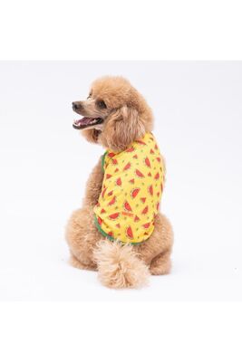 Pawstar - Pawstar WaterMelon Kedi Köpek Tişörtü - Kedi Köpek Kıyafeti XL