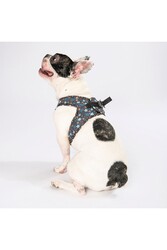 Pawstar Wow Air-mesh Göğüs Tasması Kedi Köpek Göğüs Tasması Large - Thumbnail