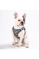 Pawstar Wow Air-mesh Göğüs Tasması Kedi Köpek Göğüs Tasması Xsmall - Thumbnail