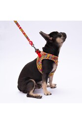 Pawstar Wow Leash Kedi Köpek Sevk & Gezdirme Kayışı Köpek Uzatma Tasması 2x120 cm - Thumbnail