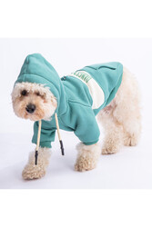 Pawstar Yeşil Cute Köpek Hoodie Köpek Sweat Köpek Kıyafeti Kedi Kıyafeti -2XL - Thumbnail