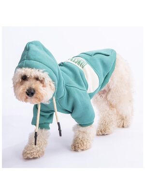 Pawstar - Pawstar Yeşil Cute Köpek Hoodie Köpek Sweat Köpek Kıyafeti Kedi Kıyafeti -2XL