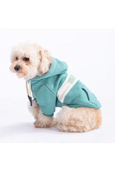 Pawstar Yeşil Cute Köpek Hoodie Köpek Sweat Köpek Kıyafeti Kedi Kıyafeti -XL - Thumbnail
