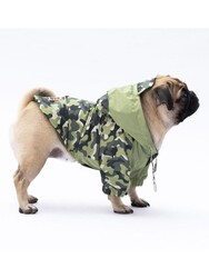 Pawstar Yeşil Dijon Köpek Mont Köpek Yağmurluk Köpek Kıyafeti Köpek Elbisesi L - Thumbnail
