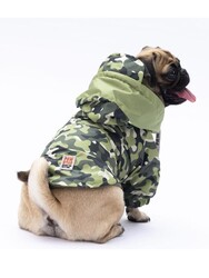 Pawstar Yeşil Dijon Köpek Mont Köpek Yağmurluk Köpek Kıyafeti Köpek Elbisesi L - Thumbnail