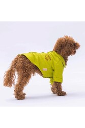 Pawstar Yeşil Linen Look Kedi Köpek Gömleği - Kedi Köpek Kıyafeti XL - Thumbnail