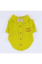 Pawstar Yeşil Linen Look Kedi Köpek Gömleği - Kedi Köpek Kıyafeti XL - Thumbnail