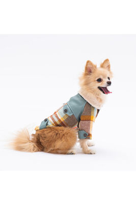 Pawstar - Pawstar Yeşil Plaid e Pelle Kedi Köpek Ceketi Kedi Köpek Kıyafeti Kedi Köpek Elbisesi L