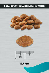 Peritas Signature Kuzulu Yetişkin Köpek Orta ve Büyük Irk - 12 kg - Thumbnail