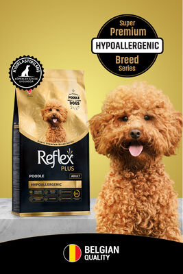 Reflex - Reflex Plus Poodle Yetişkin Köpek Maması 8 Kg