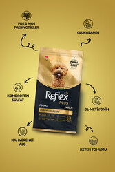 Reflex Plus Poodle Yetişkin Köpek Maması 8 Kg - Thumbnail